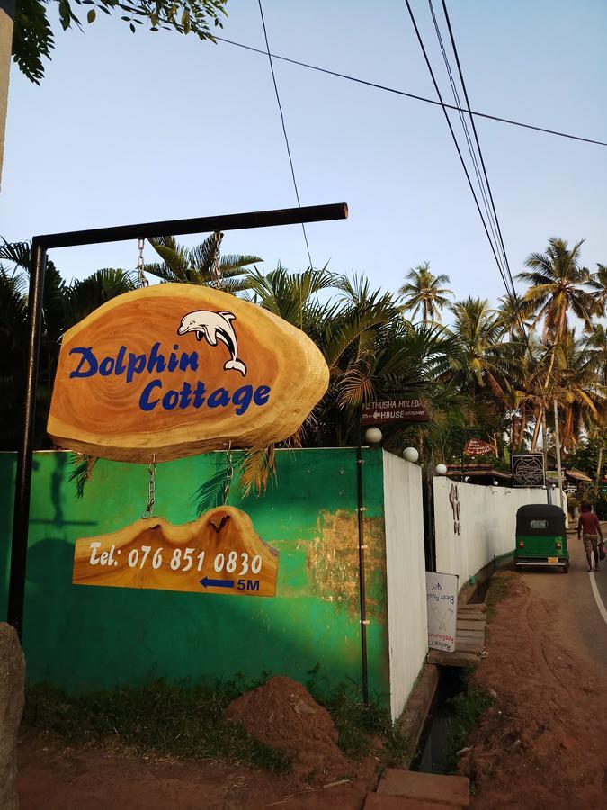 Dolphin Cottage Мірісса Екстер'єр фото